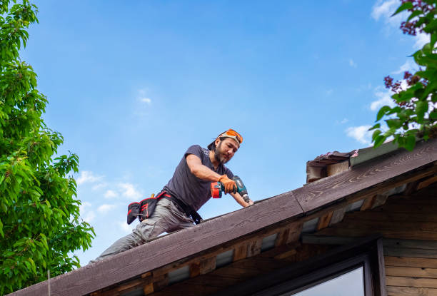 Best Roof Ventilation Installation  in Erin, TN